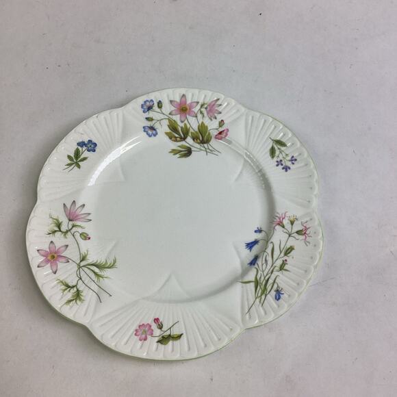Shelley Wild Anemone Fine Bone China #13977 Salad Plate - England - Picture 1 of 7